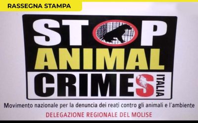 ARRIVA IN MOLISE LA NUOVA ASSOCIAZIONE “STOP ANIMAL CRIMES”